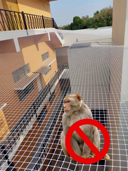 Monkey Safety Nets Bengaluru
